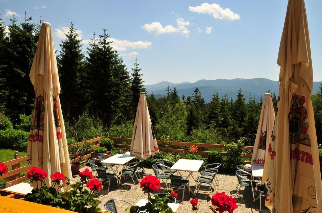 Kolmsteiner Hof Hotel Neukirchen beim Heiligen Blut Buitenkant foto